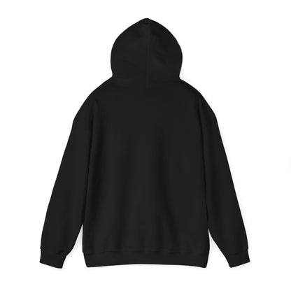 Deshaun Watson Unisex Hooded Sweatshirt